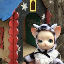 Крошка Pang на лесной прогулке