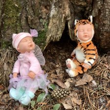 В сказочном лесу