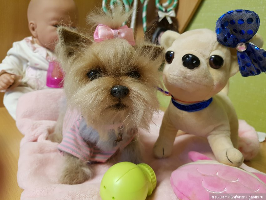 Любимый йокшир - малышка Бель (фото 2)