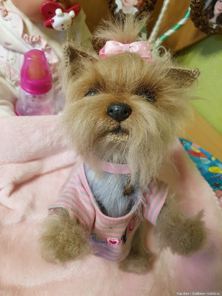 Любимый йокшир - малышка Бель