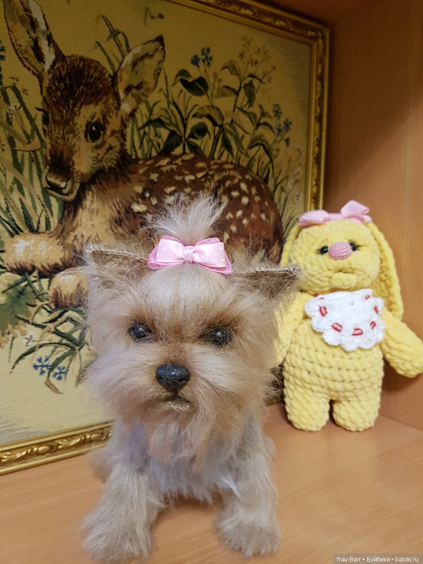 Любимый йокшир - малышка Бель (фото 4)