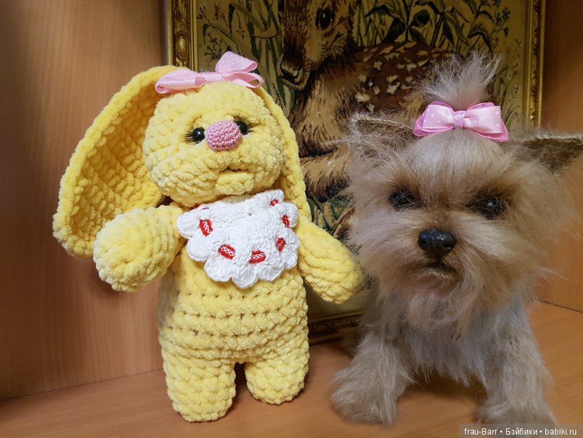 Любимый йокшир - малышка Бель (фото 5)