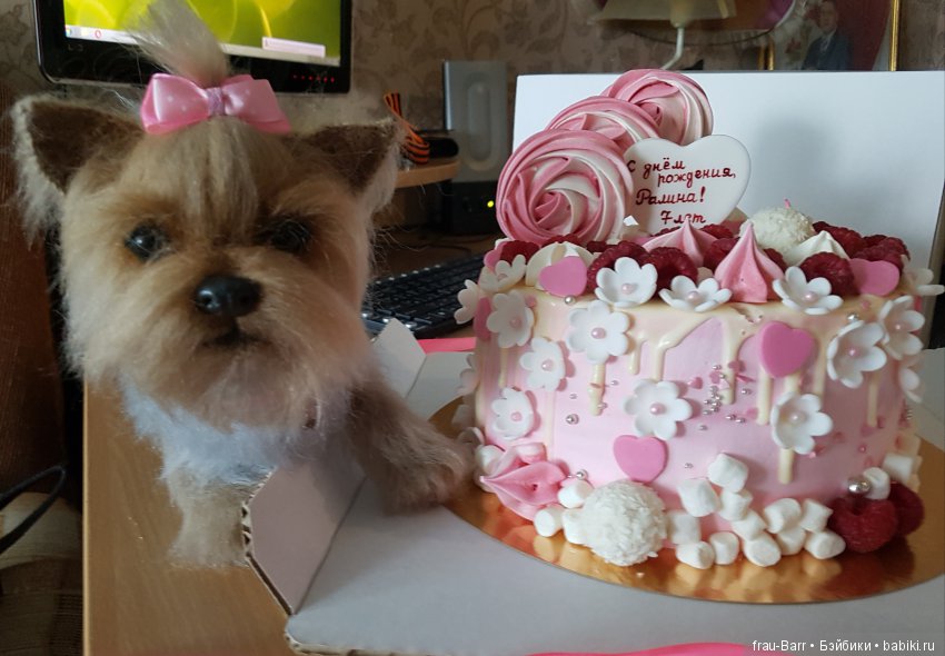 Любимый йокшир - малышка Бель (фото 6)