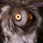 Новые жители - авторские игрушки