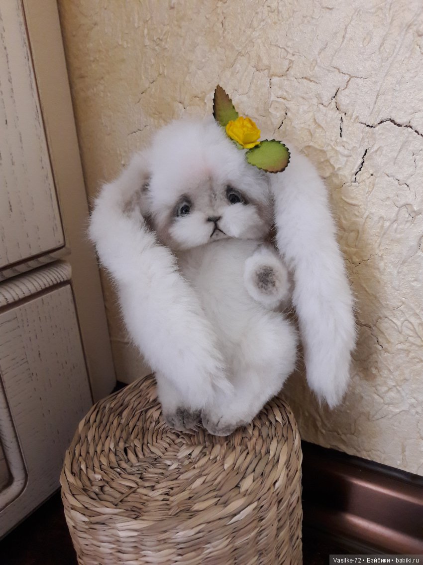 Зайка