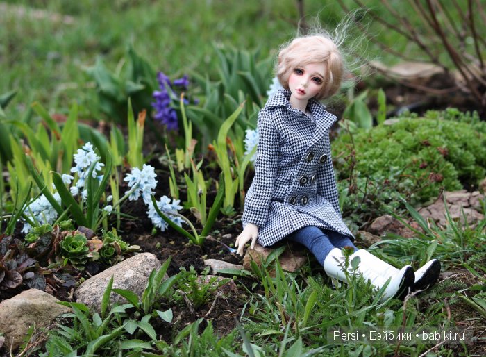 Дачницы — Разные куклы BJD (БЖД): редкие бренды