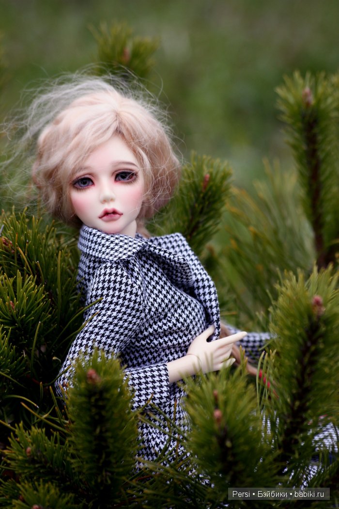 Дачницы — Разные куклы BJD (БЖД): редкие бренды