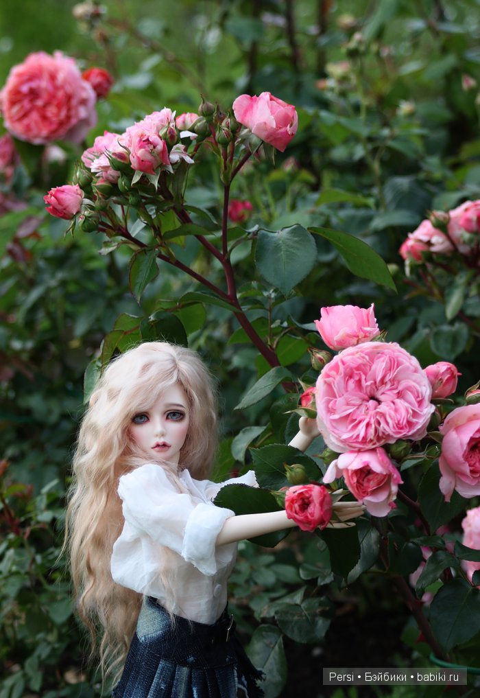 Розовый сад — Куклы Souldoll (Соулдолл): BJD (БЖД) (фото 3)