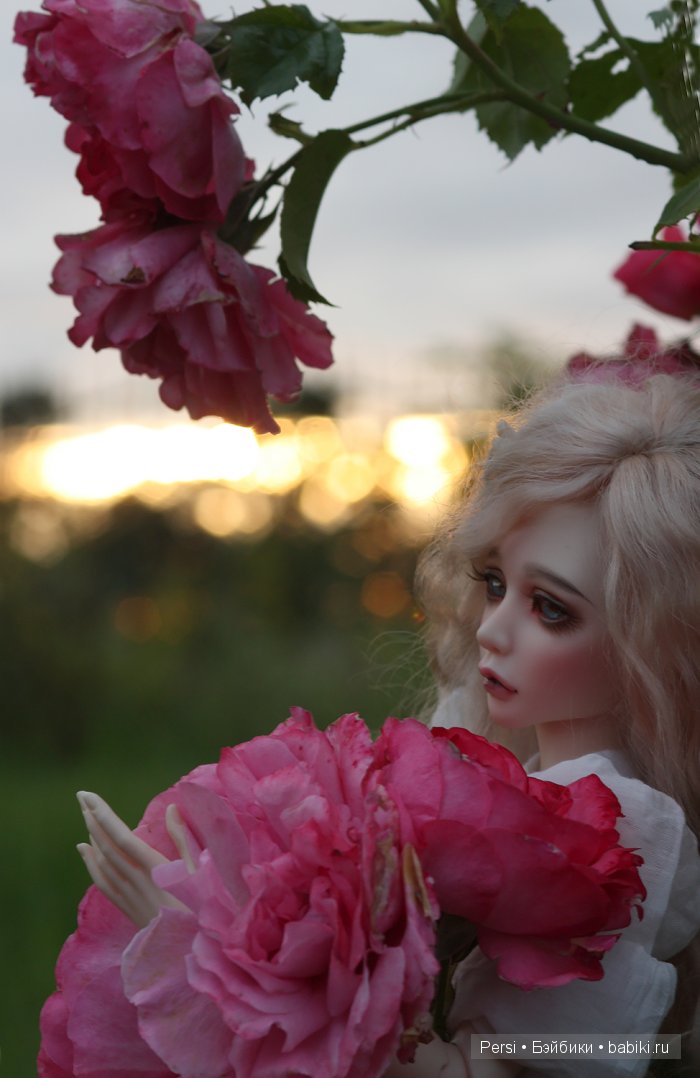 Розовый сад — Куклы Souldoll (Соулдолл): BJD (БЖД)