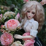 Розовый сад.