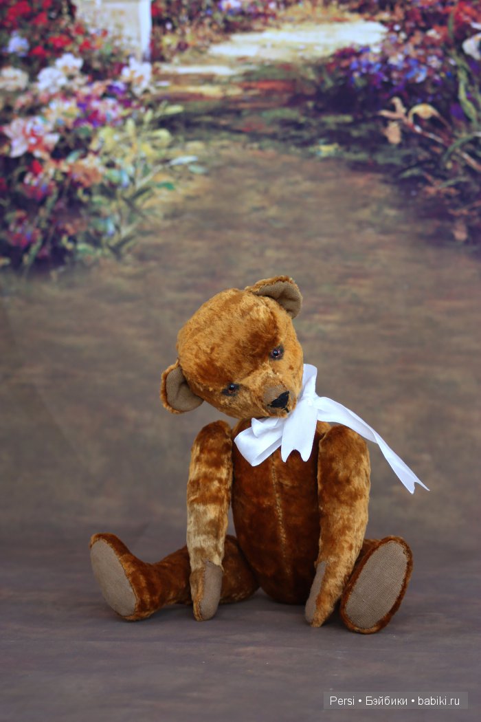 Мишка, Мишка, где твоя улыбка (фото 2)