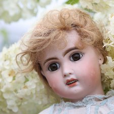 Французская птичка Шанталь