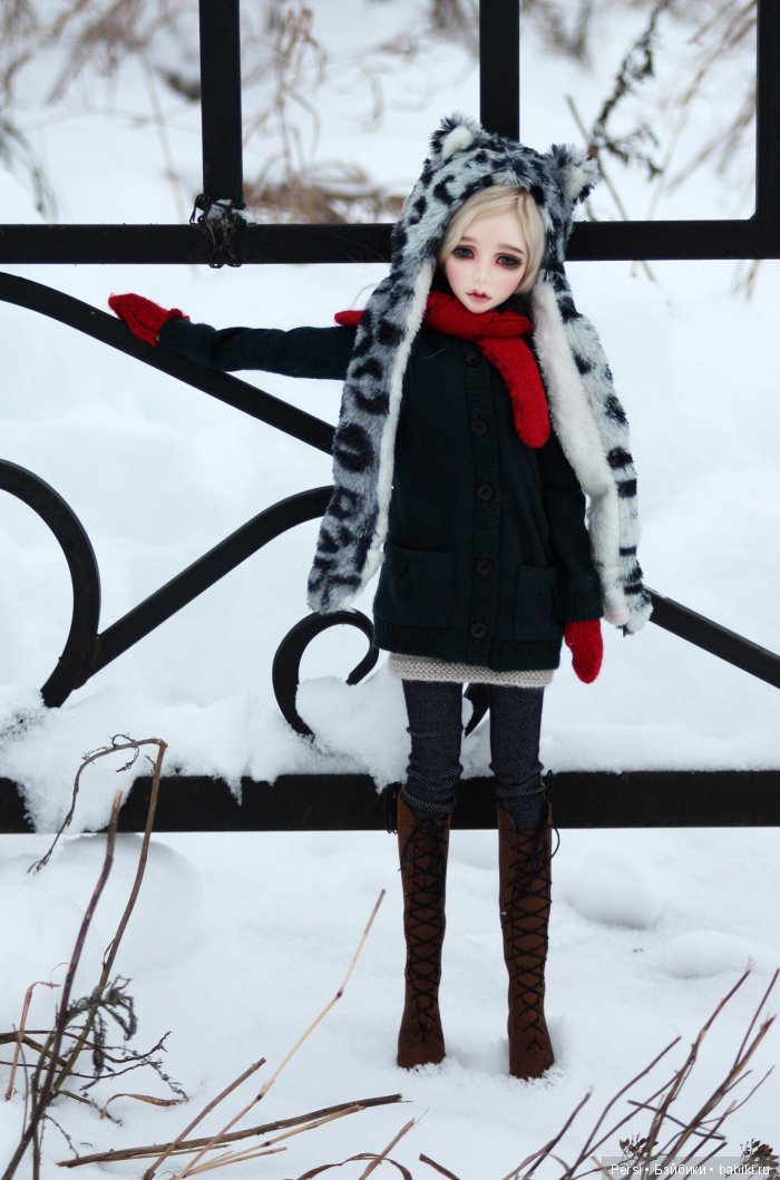 Мороз без солнца, день чудесный (фото 4)