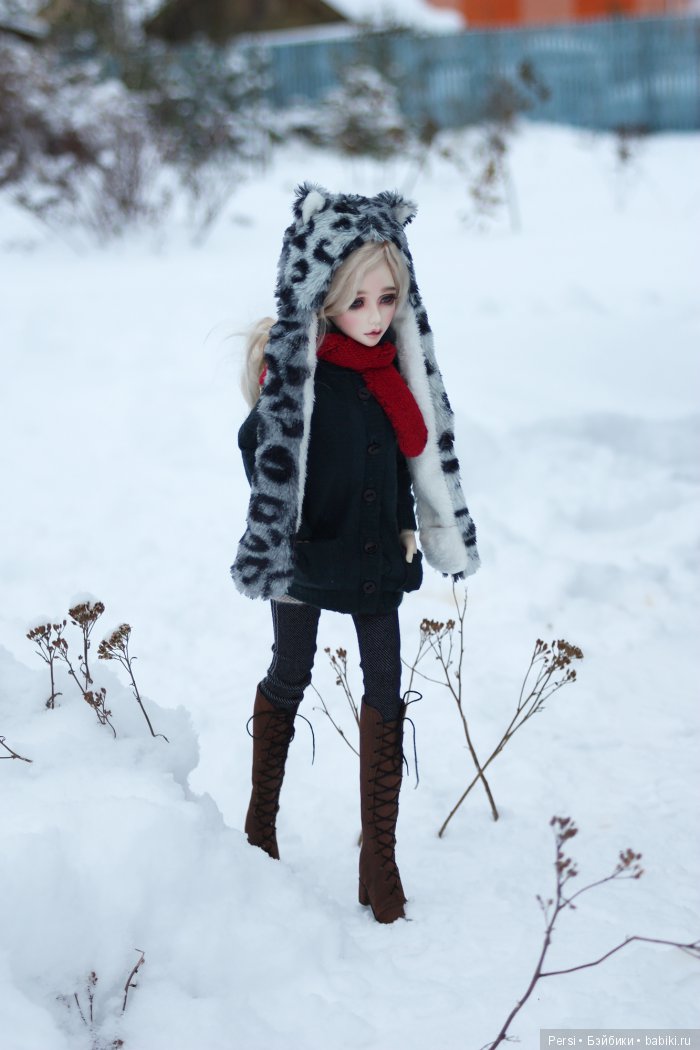 Мороз без солнца, день чудесный (фото 5)