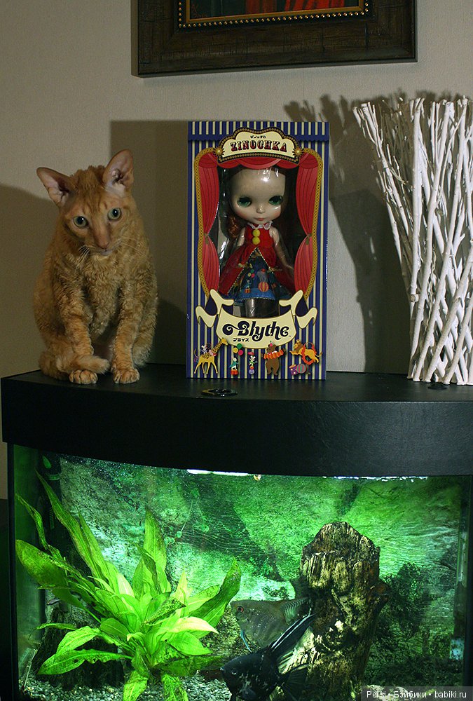 Ещё один глазастик — Оригинальные куклы Blythe (Блайз): Takara (фото 2)