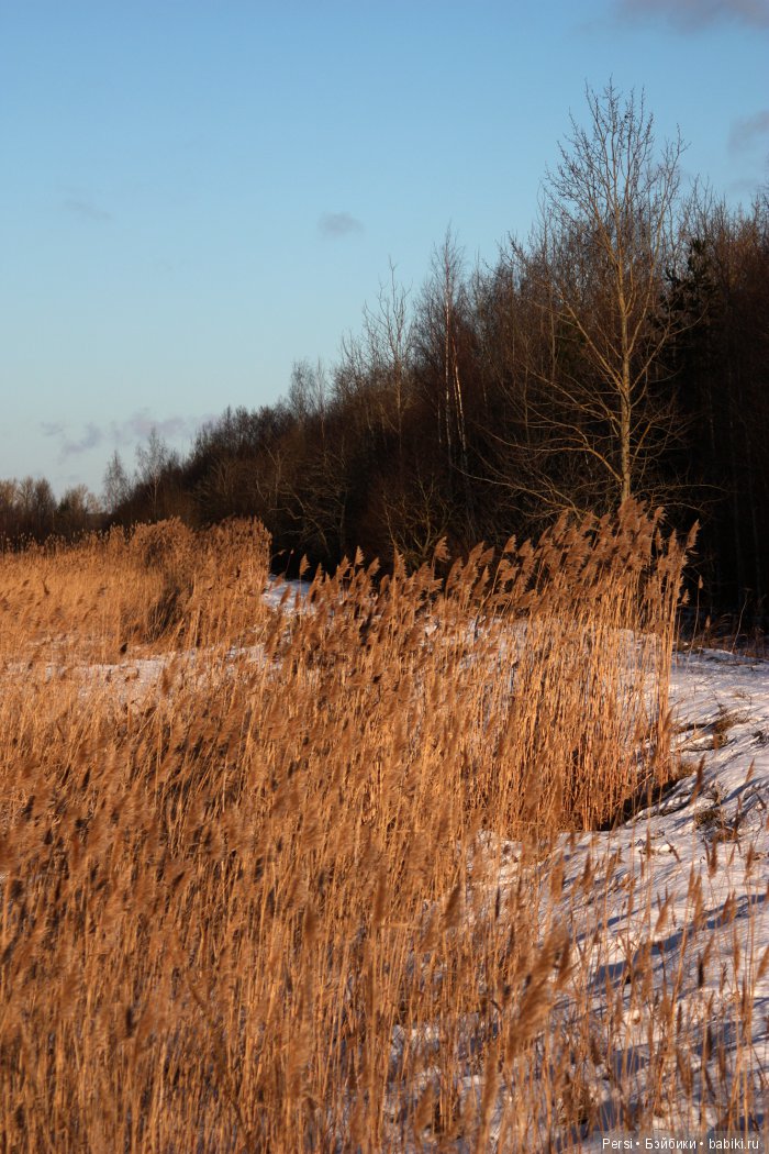 Сьюзи с грустными глазами (фото 10)