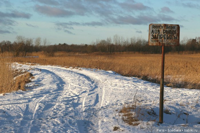 Сьюзи с грустными глазами (фото 9)