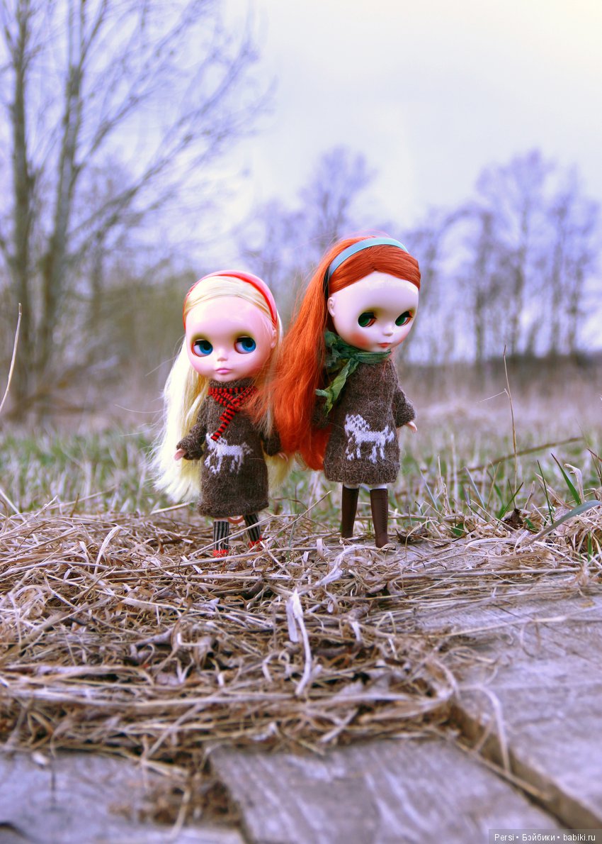 Орхидеи ещё не зацвели или снова blythe (фото 4)