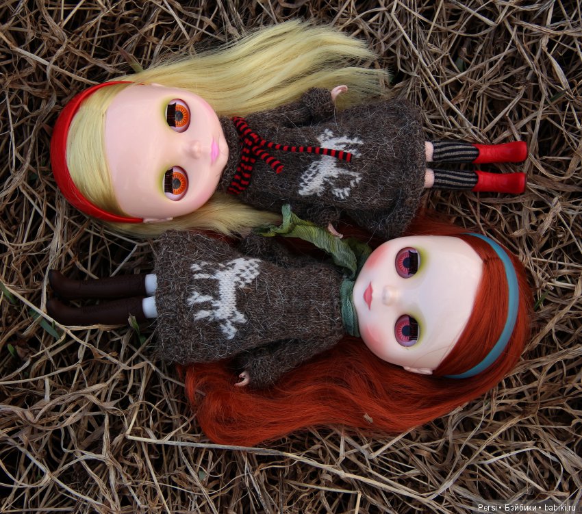 Орхидеи ещё не зацвели или снова blythe (фото 10)