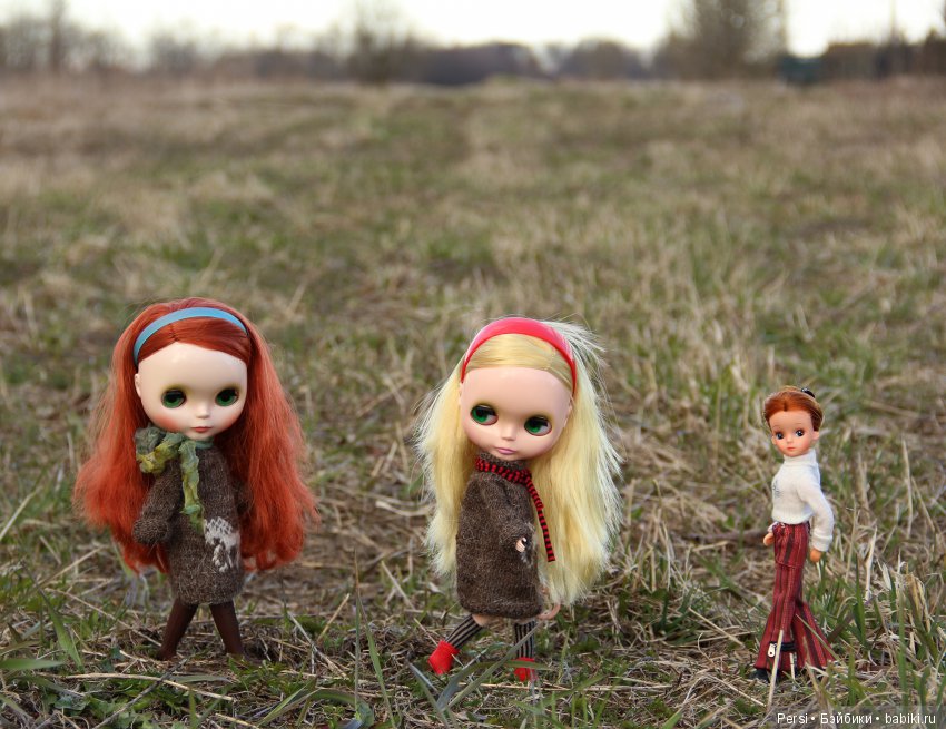 Орхидеи ещё не зацвели или снова blythe (фото 8)