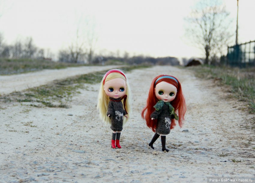 Орхидеи ещё не зацвели или снова blythe (фото 3)