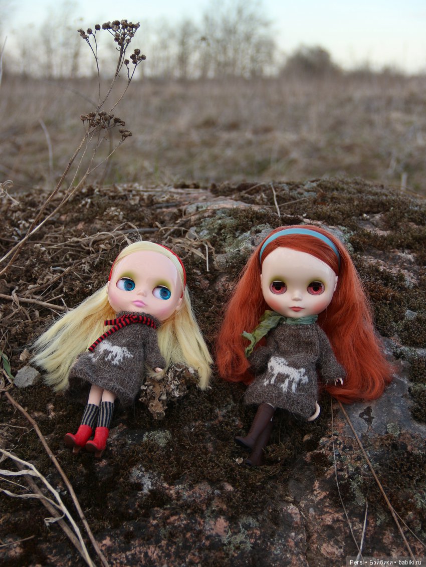 Орхидеи ещё не зацвели или снова blythe