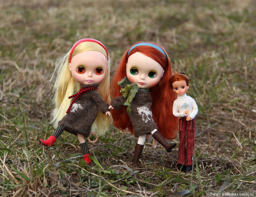 Орхидеи ещё не зацвели или снова blythe (фото 9)