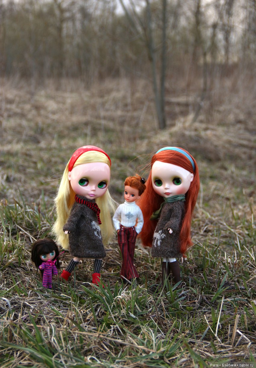 Орхидеи ещё не зацвели или снова blythe (фото 6)