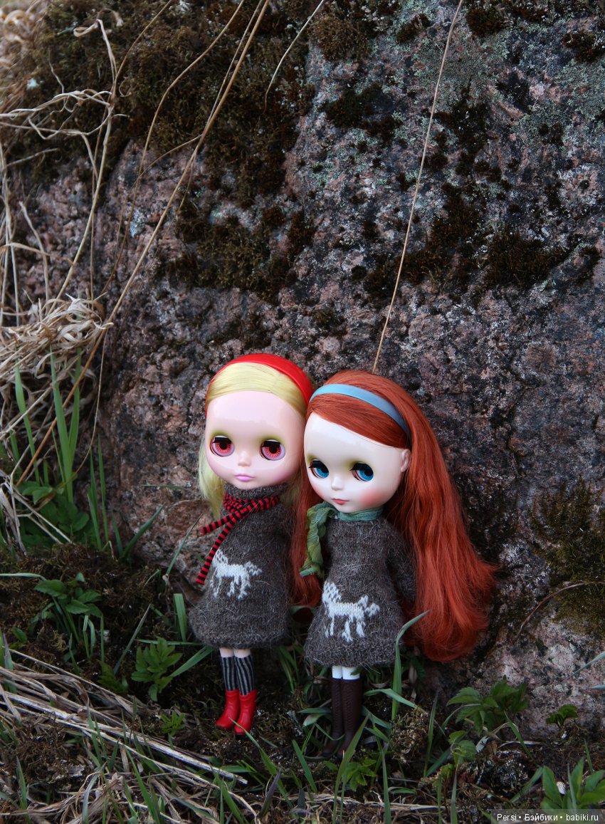 Орхидеи ещё не зацвели или снова blythe (фото 7)