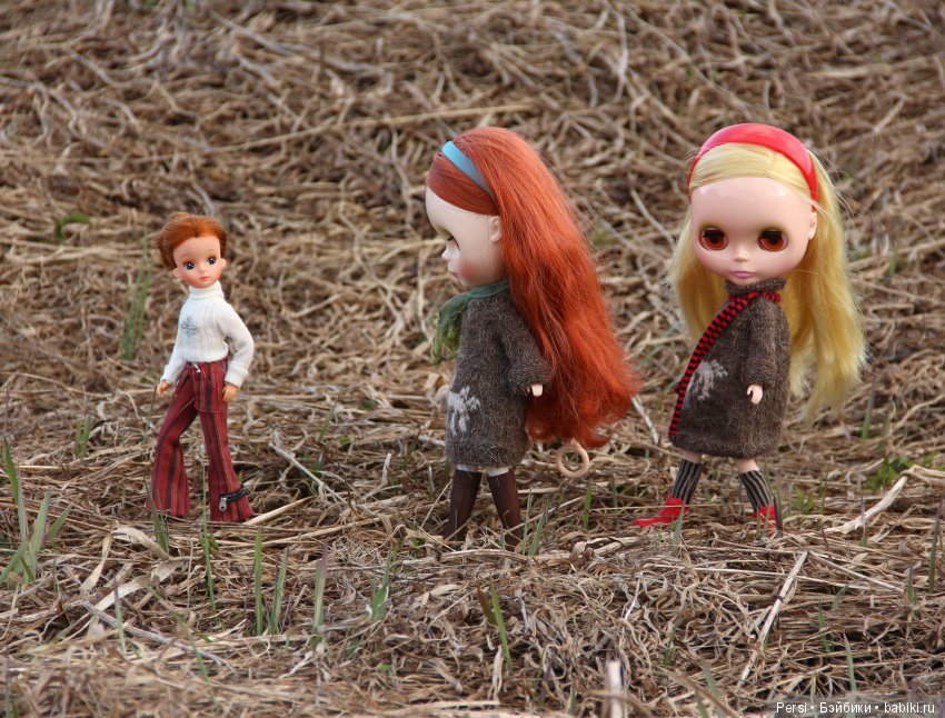 Орхидеи ещё не зацвели или снова blythe