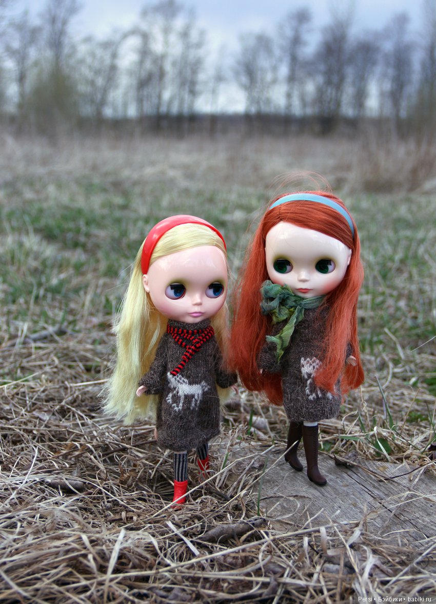 Орхидеи ещё не зацвели или снова blythe (фото 5)