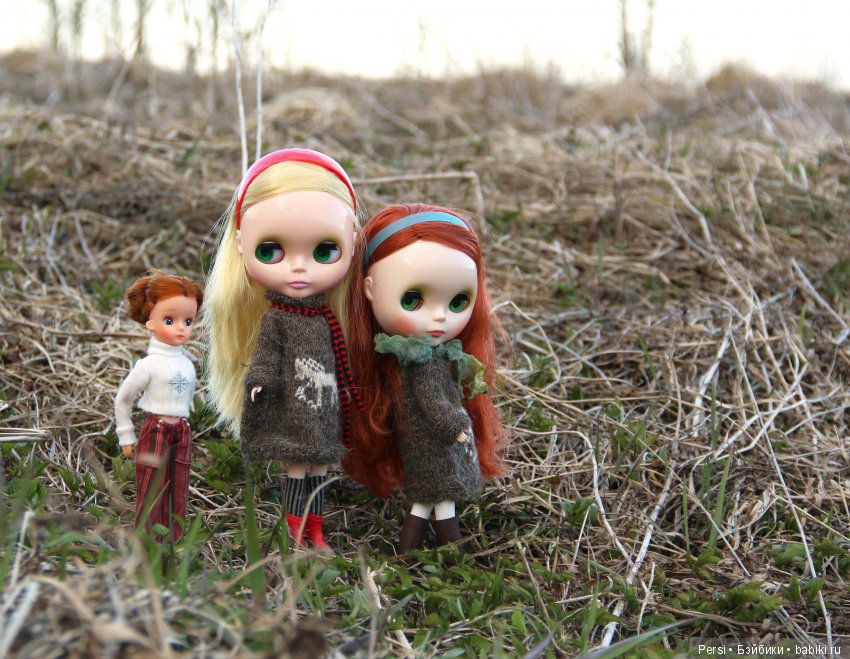 Орхидеи ещё не зацвели или снова blythe