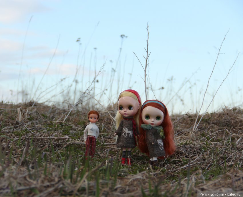 Орхидеи ещё не зацвели или снова blythe