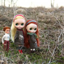 Орхидеи ещё не зацвели или снова blythe