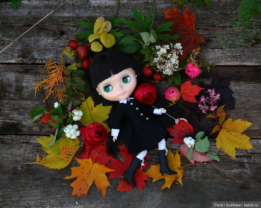 Осенние блайзозарисовки — Оригинальные куклы Blythe (Блайз): Takara