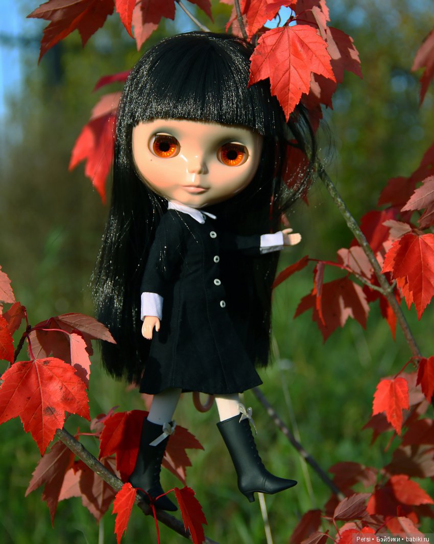 Осенние блайзозарисовки — Оригинальные куклы Blythe (Блайз): Takara