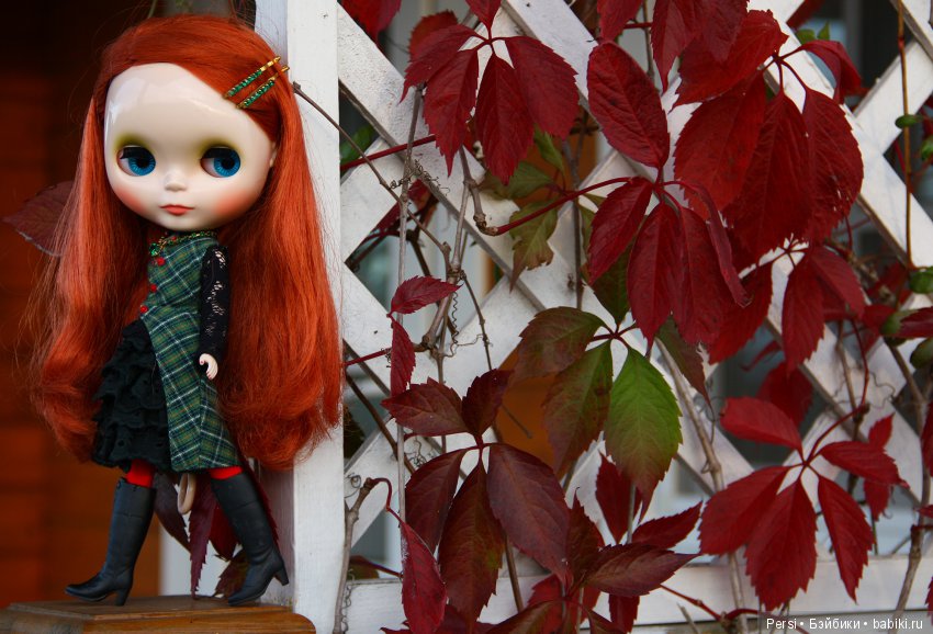 Осенние блайзозарисовки — Оригинальные куклы Blythe (Блайз): Takara