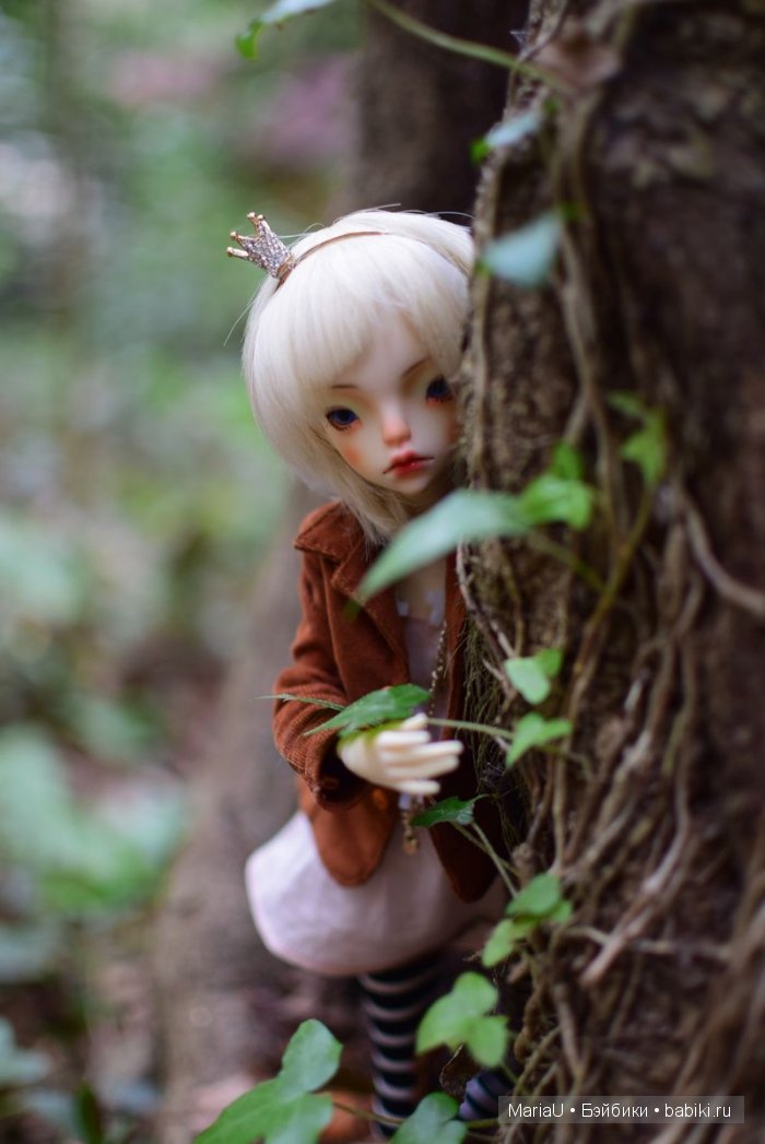 Лето в ноябре. Волшебный лес