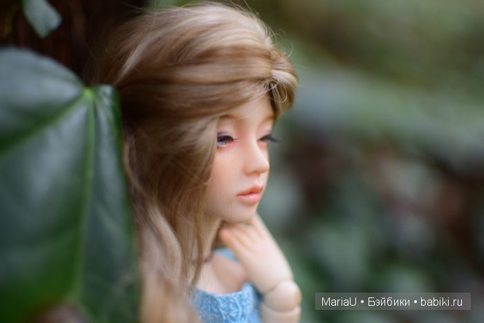 Лето в ноябре. Волшебный лес