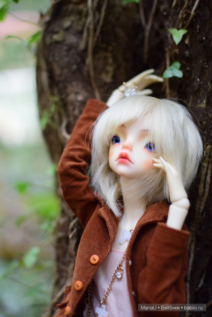 Лето в ноябре. Волшебный лес