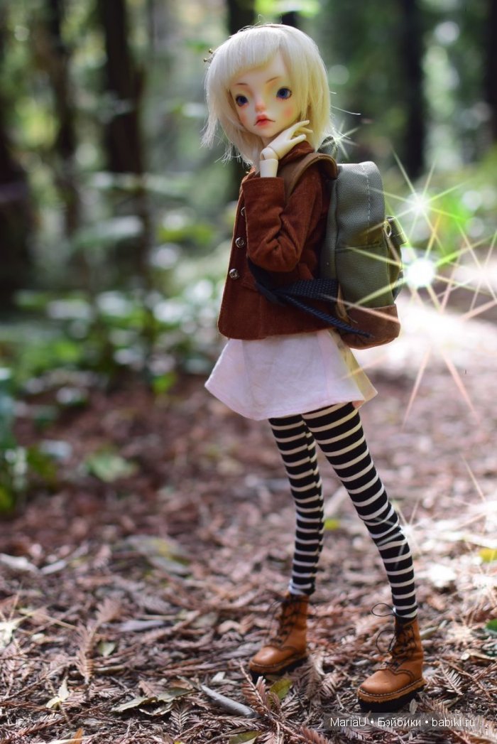 Лето в ноябре. Волшебный лес (фото 3)