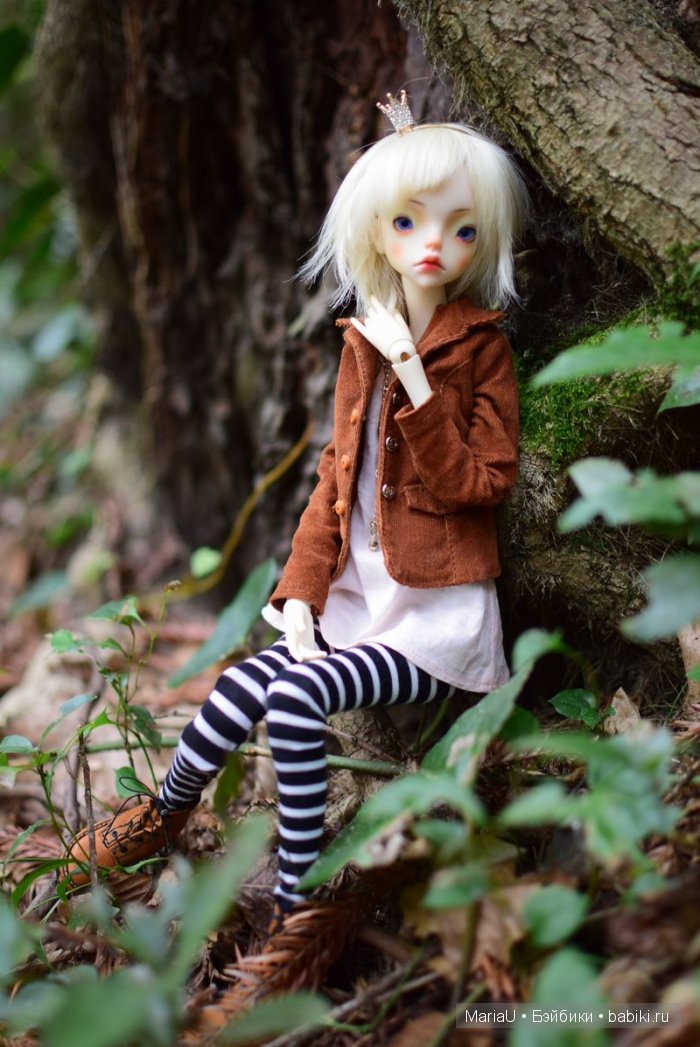 Лето в ноябре. Волшебный лес