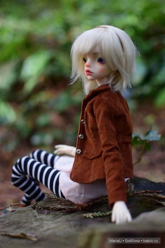 Лето в ноябре. Волшебный лес (фото 6)