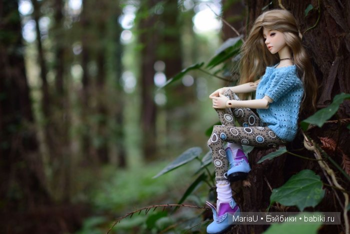 Лето в ноябре. Волшебный лес (фото 9)