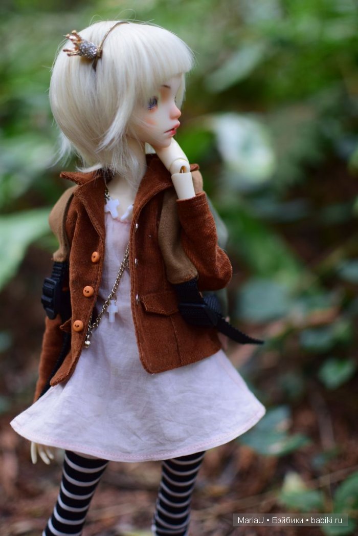 Лето в ноябре. Волшебный лес (фото 8)