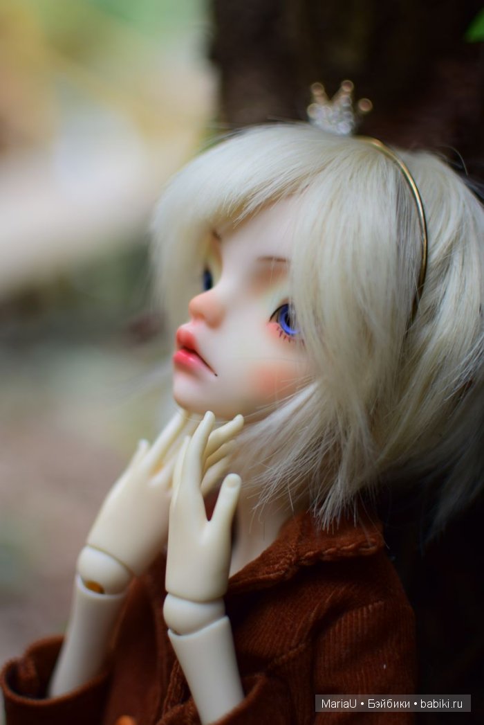 Лето в ноябре. Волшебный лес