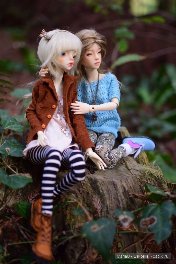 Лето в ноябре. Волшебный лес