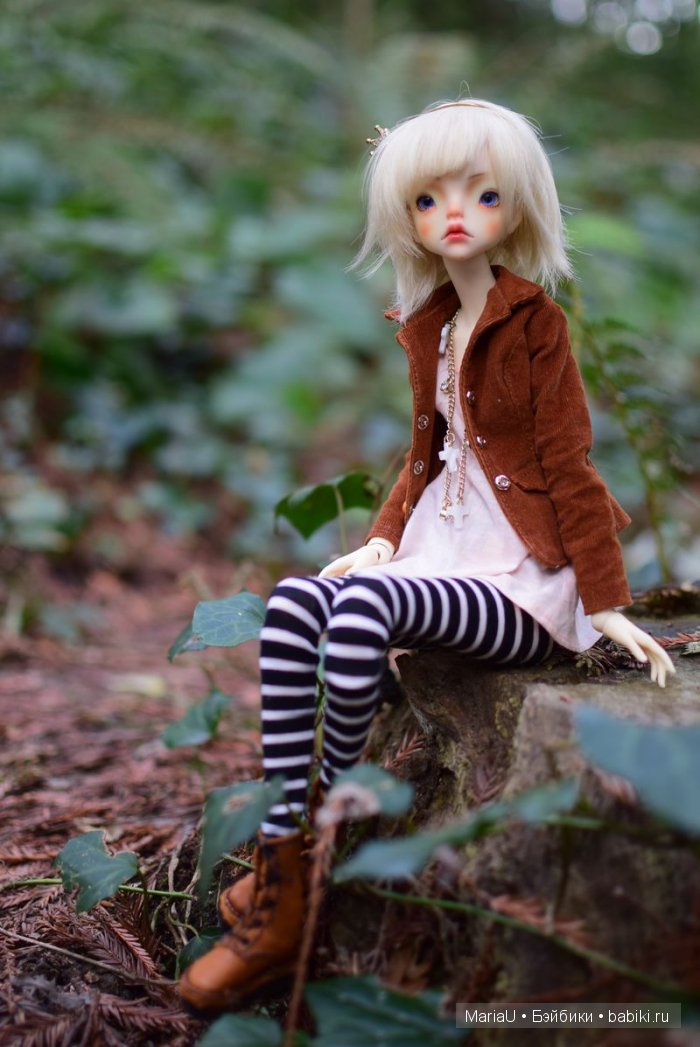 Лето в ноябре. Волшебный лес (фото 5)