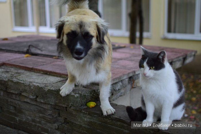 Лето в ноябре. Дождливое побережье