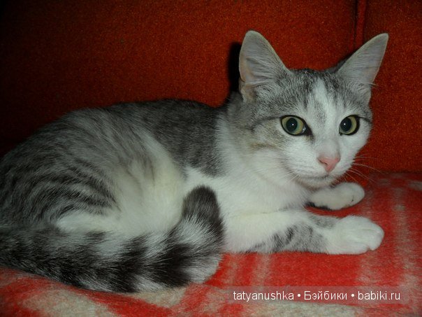 Быть или не Быть вот в чем вопрос (фото 2)